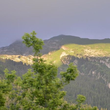 Domaine Du Grand Tetras Samoens Apartamento Exterior foto